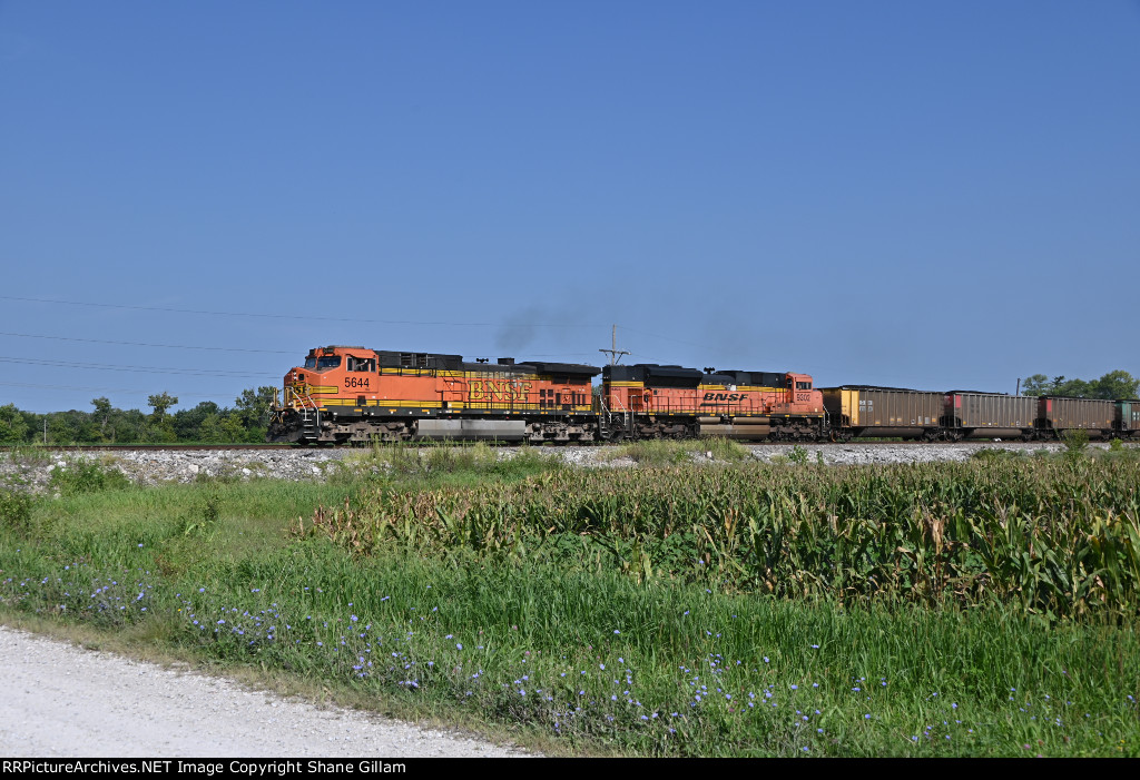 BNSF 5644